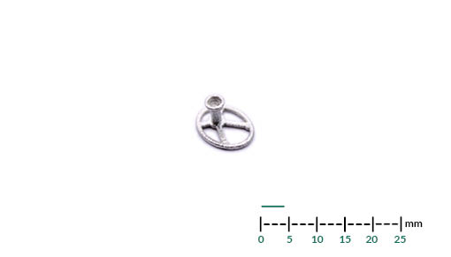Auditory bone